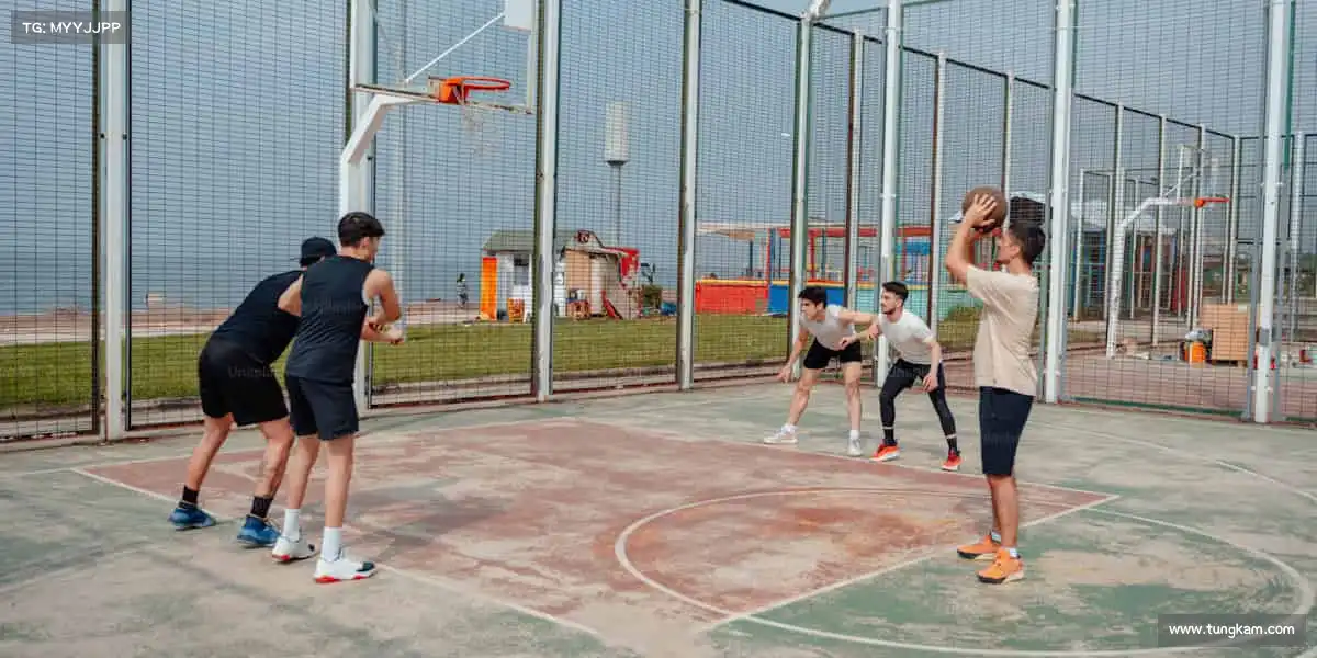 为什么选择我们