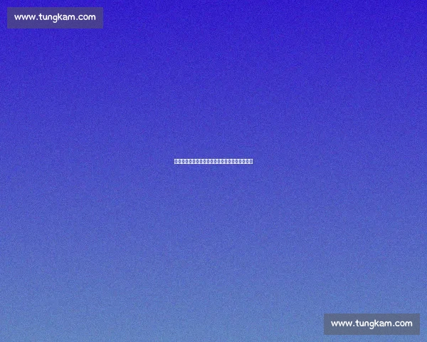 杨阳接棒深篮体育：开启中国篮球生态建设新篇章