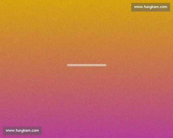 谢什科加盟曼联后，纽卡铁心留住伊萨克：锋线重组计划生变