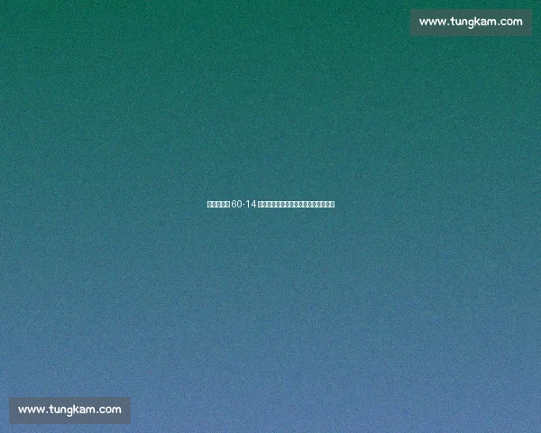 野马队主场 60-14 狂屠兔子队，沃尔什一人主导六次得分