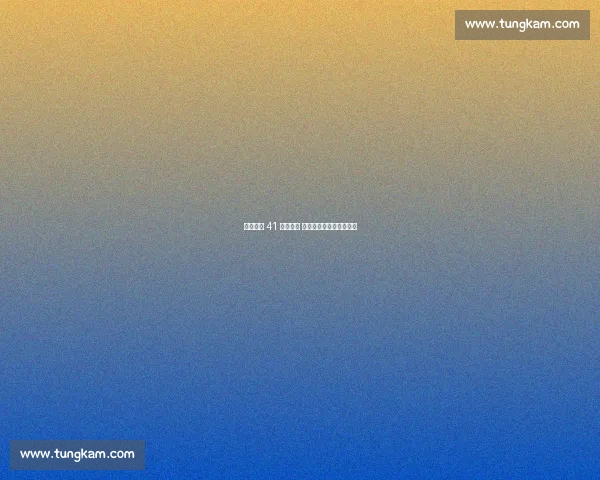 凯恩赛季 41 球创纪录 五大联赛射手榜稳居三甲