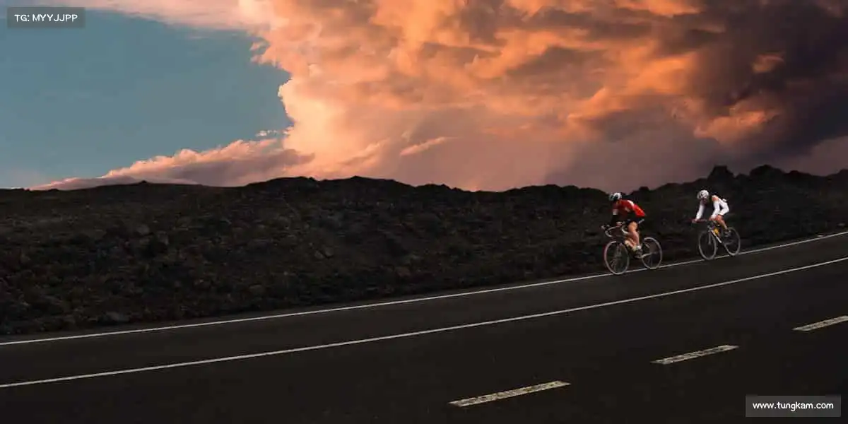 mksport官网APP🏆用汗水浇灌梦想，让热爱永不退场 —— 体育之路，你我同行！