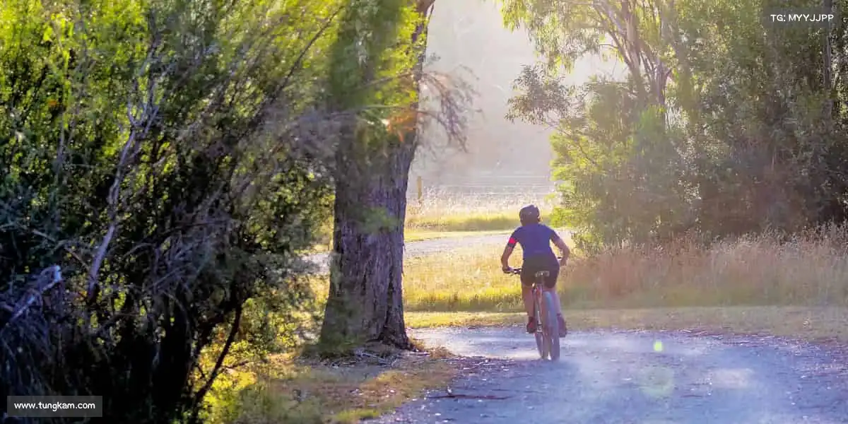 我们的品牌价值